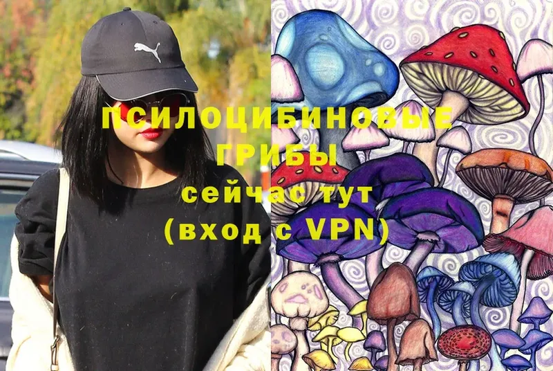 Галлюциногенные грибы Magic Shrooms  Бодайбо 